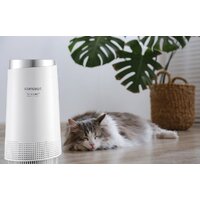 Очиститель воздуха Concept Perfect Air Smart CA1010 - Превью изображения №16 — Интернет-магазин Time-Shop