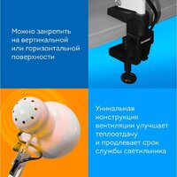 Настольная лампа Daswerk 238323 - Превью изображения №6 — Интернет-магазин Time-Shop