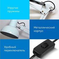Настольная лампа Daswerk 238323 - Превью изображения №4 — Интернет-магазин Time-Shop