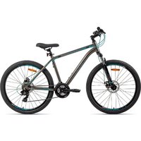 AIST Rocky 1.0 Disc 26 р.18 2026 (серый/синий)