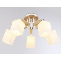 Ambrella light Traditional TR9518