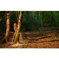 Аккумуляторная пила Ryobi RY36CSX35A-150 (с АКБ 5 Ah) - Превью изображения №13 — Интернет-магазин Time-Shop