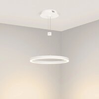 Подвесная люстра Arlight SP-Congo-Can-1-R400-24W Day4000 046213 - Превью изображения №3 — Интернет-магазин Time-Shop