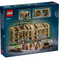 Конструктор LEGO Harry Potter Замок Хогвартс: Класс Гербологии 76445 - Превью изображения №2 — Интернет-магазин Time-Shop