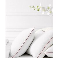 Спальная подушка Kariguz DeLuxe ДЛ10-3 50x68 - Превью изображения №2 — Интернет-магазин Time-Shop