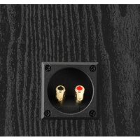 Внешний модуль объемного звука DALI Alteco C-1 (черный) - Превью изображения №4 — Интернет-магазин Time-Shop