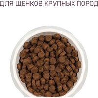 Сухой корм для собак Award Puppy Large для щенков крупных пород с курицей, индейкой с добавлением тыквы и шиповника 12 кг - Превью изображения №5 — Интернет-магазин Time-Shop