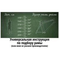 Велосипед Hagen 3.12 29 L 2025 (оружейный серый) - Превью изображения №4 — Интернет-магазин Time-Shop