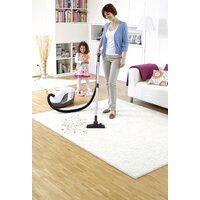 Пылесос Karcher DS 6 Premium Plus 1.195-242.0 - Превью изображения №9 — Интернет-магазин Time-Shop