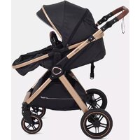Универсальная коляска Rant Basic Roller Gold RA161 (2 в 1, black) - Превью изображения №25 — Интернет-магазин Time-Shop