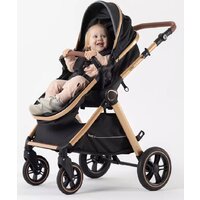 Универсальная коляска Rant Basic Roller Gold RA161 (2 в 1, black) - Превью изображения №35 — Интернет-магазин Time-Shop