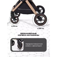 Универсальная коляска Rant Basic Roller Gold RA161 (2 в 1, black) - Превью изображения №9 — Интернет-магазин Time-Shop