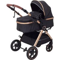 Rant Basic Roller Gold RA161 (2 в 1, black)