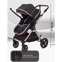 Универсальная коляска Rant Basic Roller Gold RA161 (2 в 1, black) - Превью изображения №6 — Интернет-магазин Time-Shop