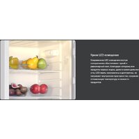 Холодильник TECHNO DD2-27 - Превью изображения №8 — Интернет-магазин Time-Shop