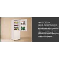 Холодильник TECHNO DD2-27 - Превью изображения №6 — Интернет-магазин Time-Shop