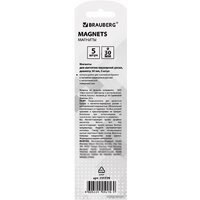 Набор магнитов BRAUBERG 231729 (5шт) - Превью изображения №3 — Интернет-магазин Time-Shop
