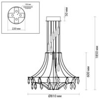 Подвесная люстра Odeon Light Flamenco 6699/51L - Превью изображения №5 — Интернет-магазин Time-Shop