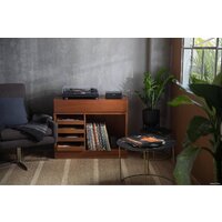 Сетевой интегральный усилитель Bose Music Amplifier - Превью изображения №7 — Интернет-магазин Time-Shop