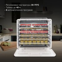 Сушилка для овощей и фруктов Hyundai HYFD-8800 - Превью изображения №5 — Интернет-магазин Time-Shop