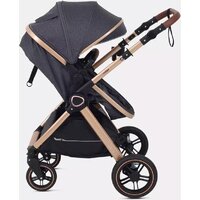 Универсальная коляска Rant Basic Roller Gold RA161 (2 в 1, grey) - Превью изображения №24 — Интернет-магазин Time-Shop