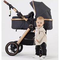 Универсальная коляска Rant Basic Roller Gold RA161 (2 в 1, grey) - Превью изображения №35 — Интернет-магазин Time-Shop