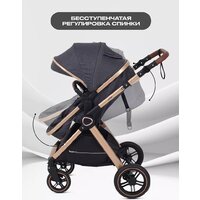 Универсальная коляска Rant Basic Roller Gold RA161 (2 в 1, grey) - Превью изображения №7 — Интернет-магазин Time-Shop