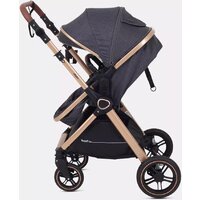 Универсальная коляска Rant Basic Roller Gold RA161 (2 в 1, grey) - Превью изображения №27 — Интернет-магазин Time-Shop