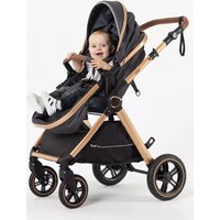 Универсальная коляска Rant Basic Roller Gold RA161 (2 в 1, grey) - Превью изображения №36 — Интернет-магазин Time-Shop