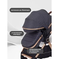 Универсальная коляска Rant Basic Roller Gold RA161 (2 в 1, grey) - Превью изображения №5 — Интернет-магазин Time-Shop