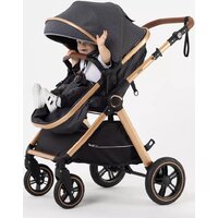 Универсальная коляска Rant Basic Roller Gold RA161 (2 в 1, grey) - Превью изображения №37 — Интернет-магазин Time-Shop