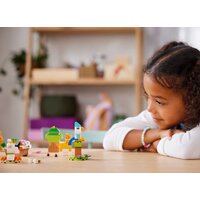 Набор деталей LEGO Classic 11034 Креативные домашние животные - Превью изображения №11 — Интернет-магазин Time-Shop