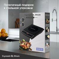 Настольная плита Zigmund & Shtain ZIP-572 - Превью изображения №9 — Интернет-магазин Time-Shop