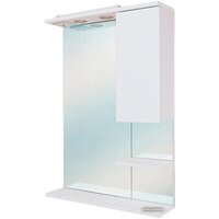 Onika Шкаф с зеркалом Элита 60.01 206020