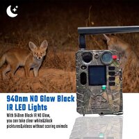 Фотоловушка BolyGuard BG410-MS - Превью изображения №5 — Интернет-магазин Time-Shop