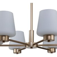 Подвесная люстра Indigo Light Tulip V000001 - Превью изображения №3 — Интернет-магазин Time-Shop