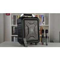 Беспроводная колонка Microlab TL20 - Превью изображения №6 — Интернет-магазин Time-Shop