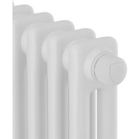 Стальной трубчатый радиатор Royal Thermo Insignia VC2050 - 20 секций RAL9016 - Превью изображения №3 — Интернет-магазин Time-Shop