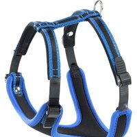 Ferplast Ergocomfort P XL 75466939 (синий)