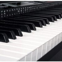 Синтезатор Medeli SP4200 (со стойкой) - Превью изображения №6 — Интернет-магазин Time-Shop