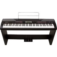 Medeli SP4200 (со стойкой)