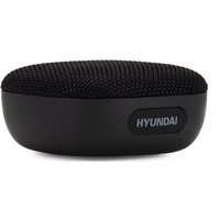 Беспроводная колонка Hyundai H-PS1010 - Превью изображения №3 — Интернет-магазин Time-Shop