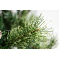 Ель Winter Fun Light ML-0066-001 (150см) - Превью изображения №8 — Интернет-магазин Time-Shop