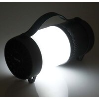 Беспроводная колонка Dialog AP-1010 - Превью изображения №5 — Интернет-магазин Time-Shop