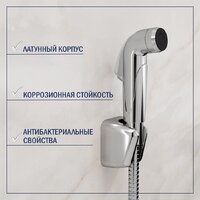 Умывальник Lauter 21478 + Spray 21CK308C с сифоном 21635CH (хром) - Превью изображения №9 — Интернет-магазин Time-Shop