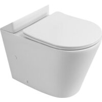 BelBagno BB2149CPR/SC (с сиденьем)