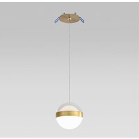 Подвесная люстра Odeon Light Roni 5036/12L - Превью изображения №4 — Интернет-магазин Time-Shop