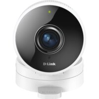 IP-камера D-Link DCS-8100LH/A1A - Превью изображения №2 — Интернет-магазин Time-Shop