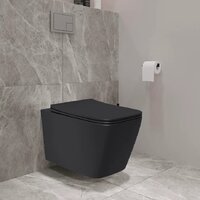 Унитаз подвесной Lauter Magdeburg 21103EC + AM.PM PrimeFit I012709.0151 (черный матовый хром глянцевый, с кнопкой смыва) - Превью изображения №14 — Интернет-магазин Time-Shop