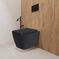 Унитаз подвесной Lauter Magdeburg 21103EC + AM.PM PrimeFit I012709.0151 (черный матовый хром глянцевый, с кнопкой смыва) - Превью изображения №16 — Интернет-магазин Time-Shop
